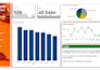 create data visualization dashboards in power bi or excel in 5 days
